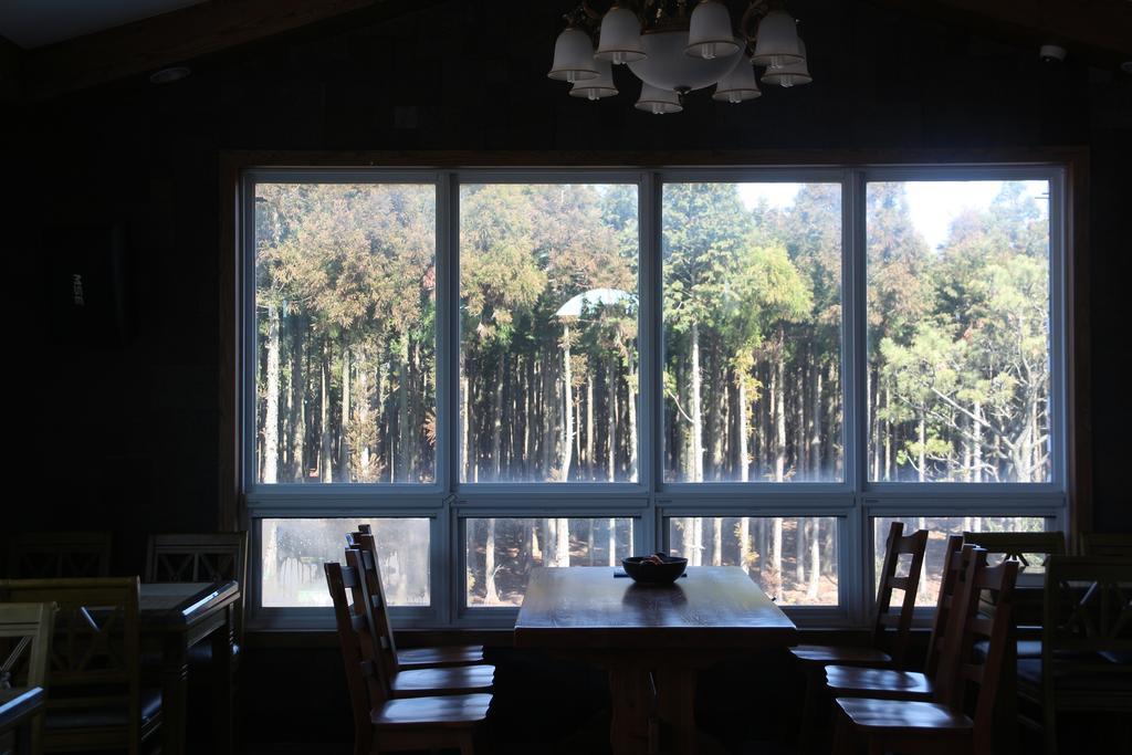סאוגוויפו Jeju Ts Youth Hostel & Resort מראה חיצוני תמונה