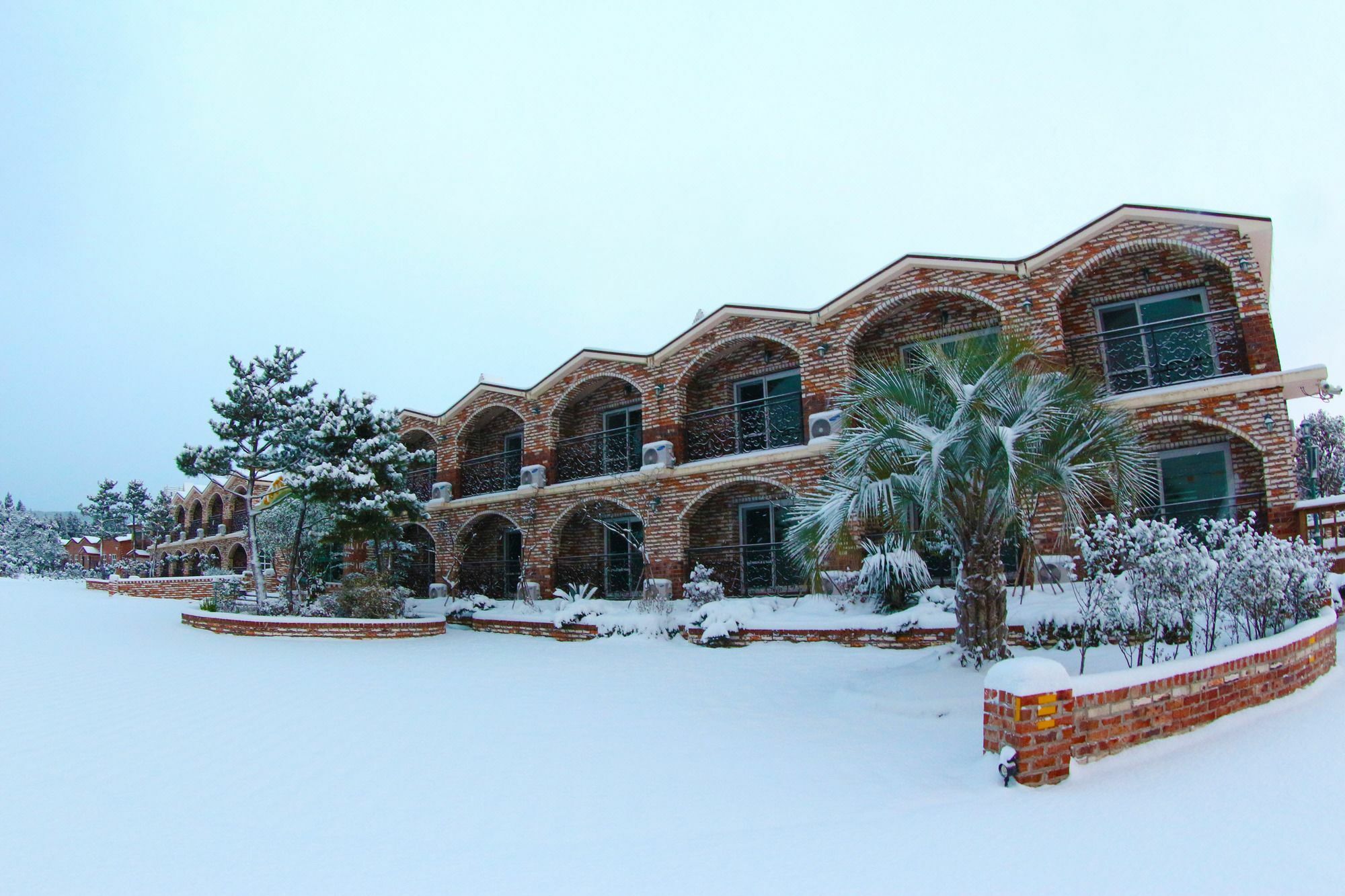 סאוגוויפו Jeju Ts Youth Hostel & Resort מראה חיצוני תמונה